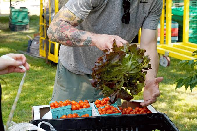 Why Local Ingredients Matter in Event Catering