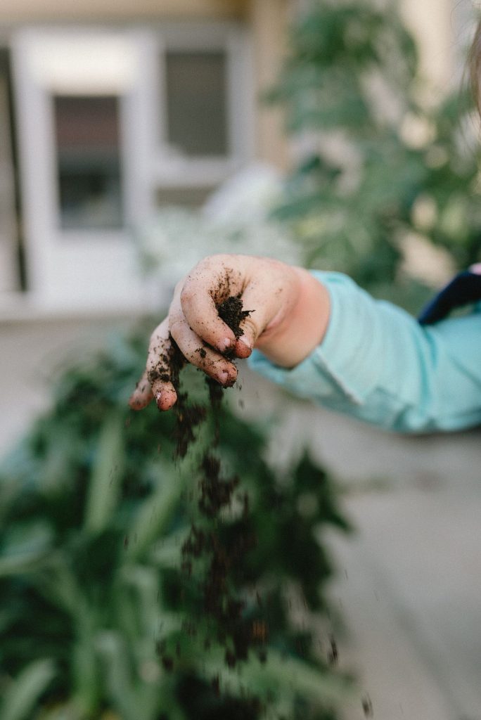 farmer hands checking soil between rows of young field crops